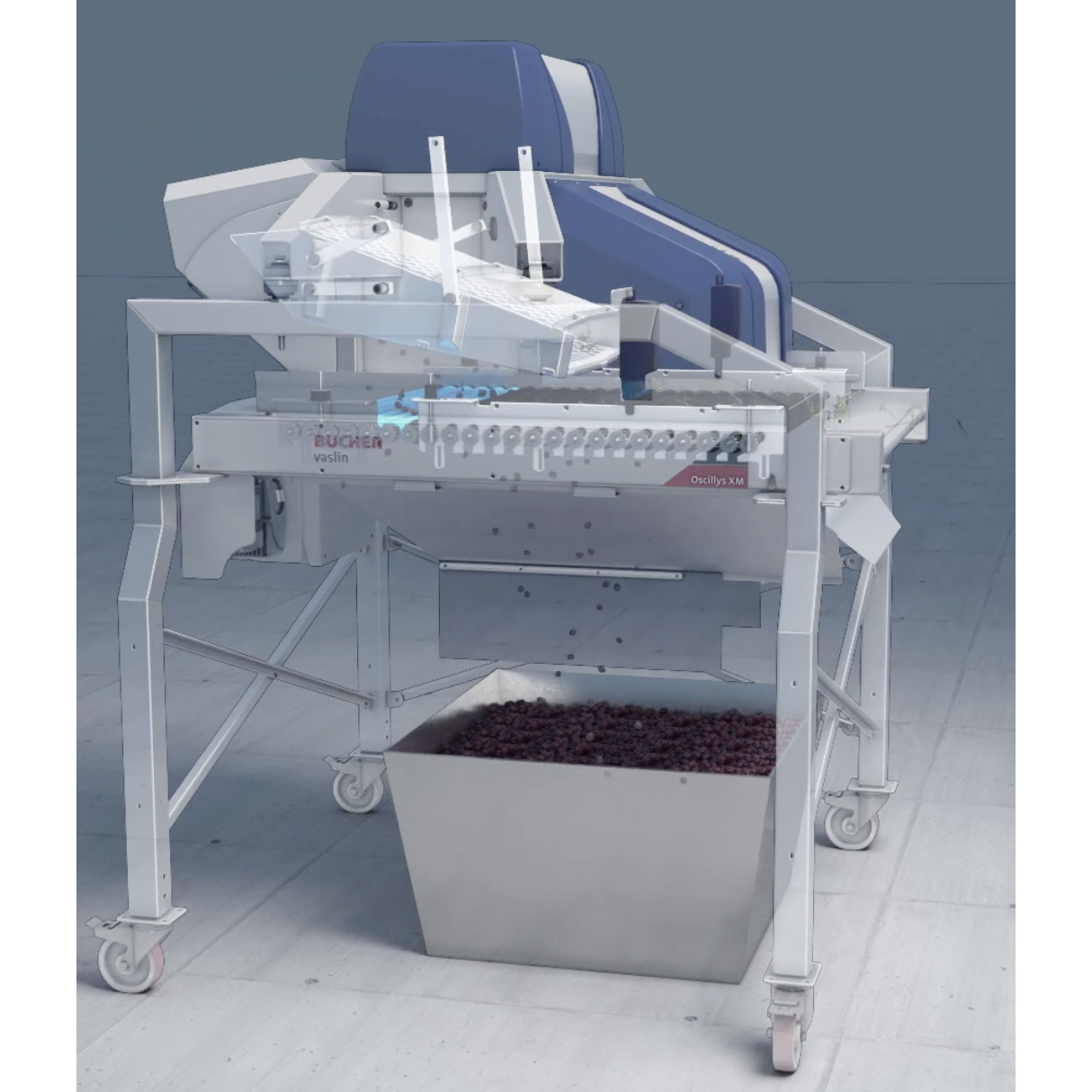Bucher Vaslin Delta Oscillys Destemmers