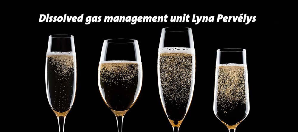 The Benchmark for Dissolved Gas Management in AU/NZ Wineries
