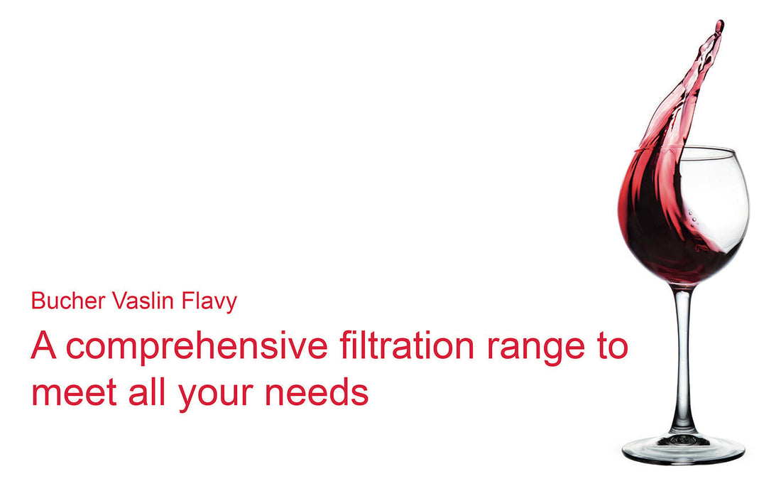 Choosing the Right Bucher Vaslin Filtration System