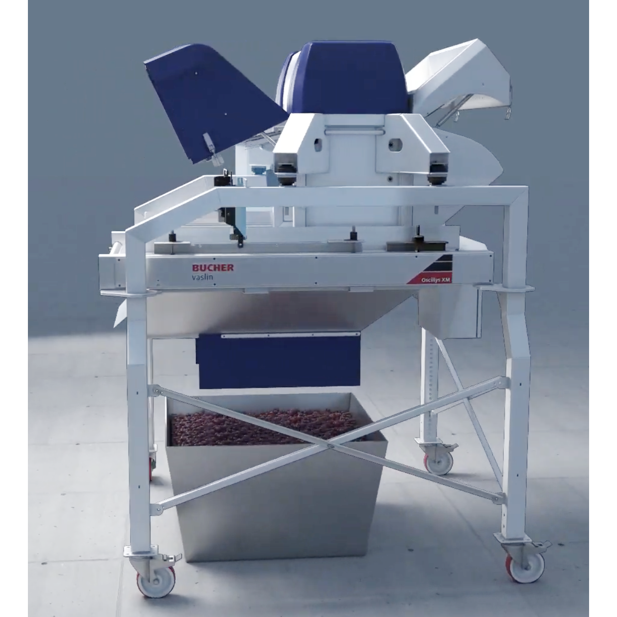 Bucher Vaslin Delta Oscillys Destemmers