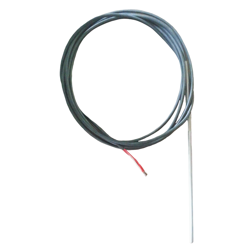 Temperature Probe PT100 – Thermostatic Bath (D5202/B)