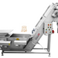 A stainless steel industrial conveyor belt sorter machine with a hopper, belt incline, control panel, and support frame, shown on a plain white background.
